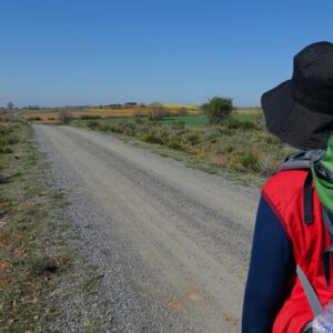 THE OPEN ROAD